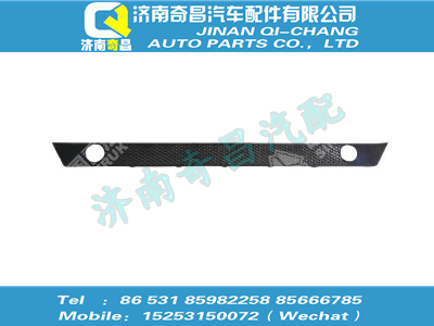 wg1664243009,T5G配件 T5GSITRAK保险杠装饰网I,济南奇昌汽车配件有限公司