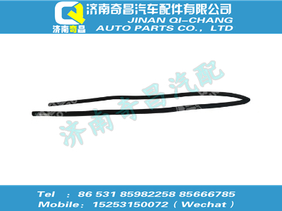 wg1664160001,T5G配件 T5G前密封条,济南奇昌汽车配件有限公司