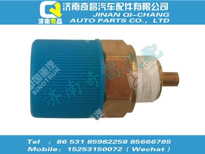 汕德卡配件 汕德卡压力开关图1