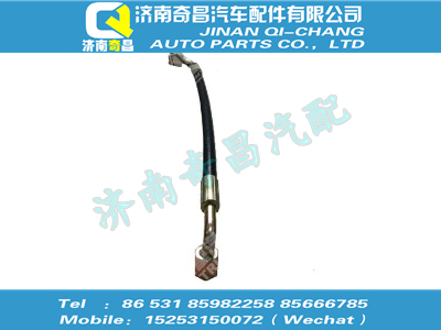 wg9719820263,T5G配件 T5G双弯垂直软管(250),济南奇昌汽车配件有限公司