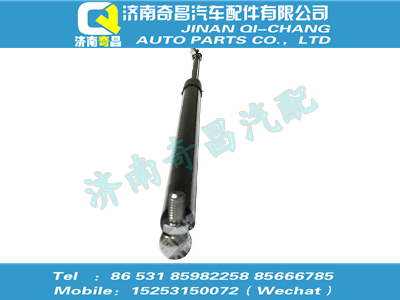 wg1664117025,王牌配件 王牌气体弹簧支撑栓,济南奇昌汽车配件有限公司