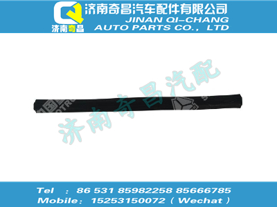 wg1664330017,王牌配件 王牌滑槽密封条Ⅰ,济南奇昌汽车配件有限公司