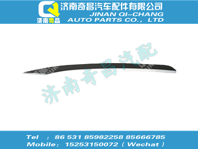 wg1664330145,汕德卡配件 汕德卡装饰条总成－右车门,济南奇昌汽车配件有限公司