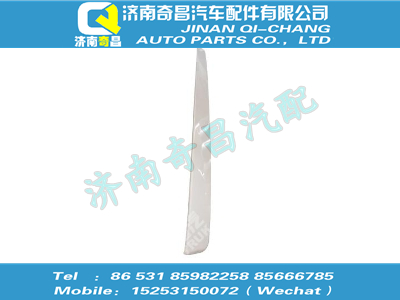 wg1664117062,豪沃配件 豪沃SITRAK面罩装饰条（窄体）,济南奇昌汽车配件有限公司