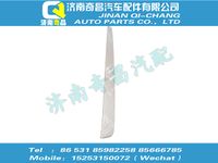 wg1664117062,豪沃配件 豪沃SITRAK面罩装饰条（窄体）,济南奇昌汽车配件有限公司