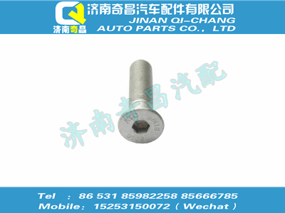 wg9925521007,SITRAK配件内六角沉头螺钉,济南奇昌汽车配件有限公司