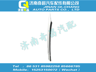wg1664330045,HOWO配件 HOWO装饰条总成－左车门,济南奇昌汽车配件有限公司