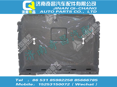 wg1662610101,汕德卡配件 汕德卡经济型加长顶盖内衬总成,济南奇昌汽车配件有限公司