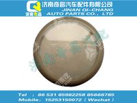 wg9925720025,SITRAK配件LED门灯,济南奇昌汽车配件有限公司
