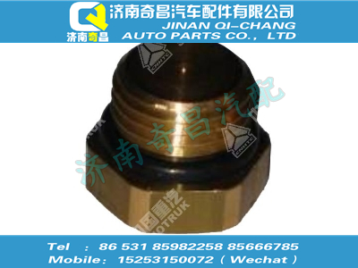 wg9000361010,T7H配件 T7H堵塞M10X1,济南奇昌汽车配件有限公司