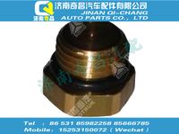 wg9000361010,T7H配件 T7H堵塞M10X1,济南奇昌汽车配件有限公司