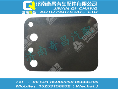 vg1557110029,王牌配件 王牌阀片,济南奇昌汽车配件有限公司