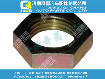 wg9000361015,汕德卡配件 汕德卡六角薄螺母M22X1.5,济南奇昌汽车配件有限公司