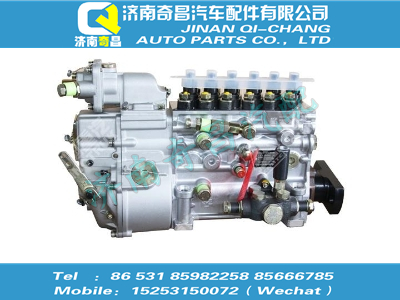 vg1096080160,汕德卡配件 汕德卡喷油泵总成,济南奇昌汽车配件有限公司
