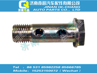 082v09702-1800,金王子配件 金王子M14空心螺栓,济南奇昌汽车配件有限公司