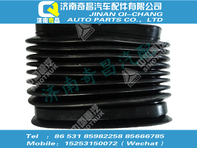 wg9725190008,SITRAK配件波纹接口件组件,济南奇昌汽车配件有限公司