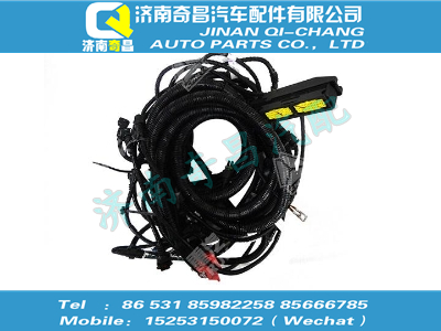 vg1540090054,金王子配件 金王子黄河右置CNG发动机线束,济南奇昌汽车配件有限公司