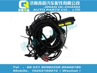 vg1238090107,SITRAK配件T12发动机线束（CFV）,济南奇昌汽车配件有限公司