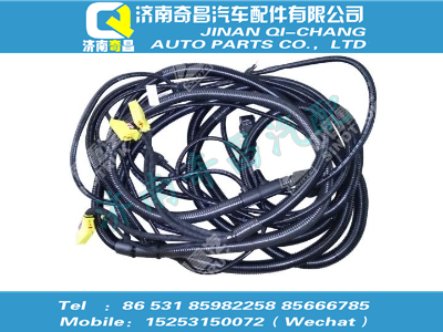 wg1034123041,王牌配件 王牌C5B SCR线束（不带电加热）,济南奇昌汽车配件有限公司