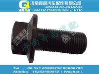 az9970320082,HOWO配件 HOWO六角法兰面承面带齿螺栓,济南奇昌汽车配件有限公司
