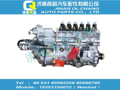 vg1246080097,HOWO配件 HOWO喷油泵总成,济南奇昌汽车配件有限公司