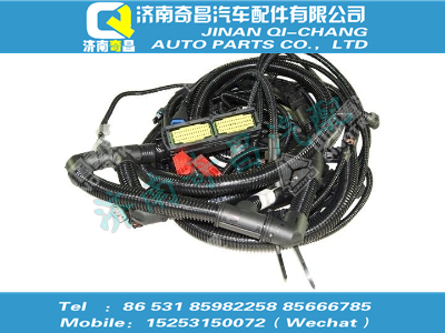 812w25436-9001,SITRAK配件线束总成（MT07 稀薄燃烧）,济南奇昌汽车配件有限公司