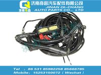 812w25436-9001,SITRAK配件线束总成（MT07 稀薄燃烧）,济南奇昌汽车配件有限公司