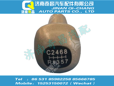 az9123240214,T5G配件 T5G变速器换档手柄及档位标牌总成,济南奇昌汽车配件有限公司