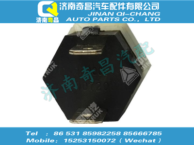 wg6100720020,T7H配件 T7H门灯开关,济南奇昌汽车配件有限公司