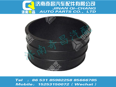 wg9725190907,金王子配件 金王子橡胶软管150,济南奇昌汽车配件有限公司