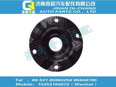 wg7113320003,SITRAK配件法兰,济南奇昌汽车配件有限公司