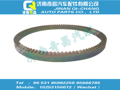 wg9112340008,王牌配件 王牌ABS齿圈,济南奇昌汽车配件有限公司