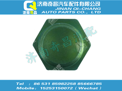 vg1062010017,C7B配件 C7B六角头螺塞,济南奇昌汽车配件有限公司