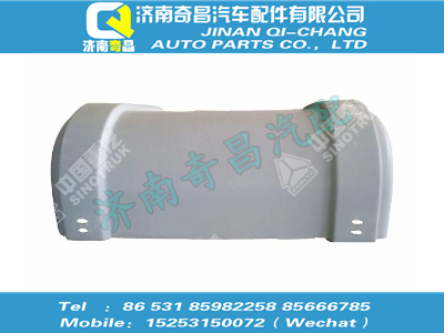 wg9725550078,王牌配件 王牌顶部装饰罩,济南奇昌汽车配件有限公司