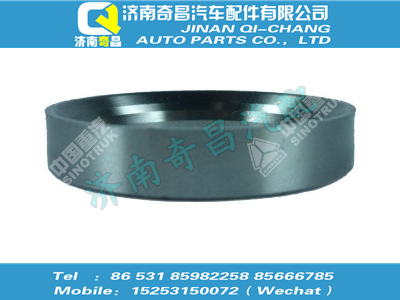 vg1540040102,金王子配件 金王子进气门座,济南奇昌汽车配件有限公司