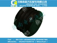 az1631930005,王牌配件 王牌堵塞/81960020062,济南奇昌汽车配件有限公司