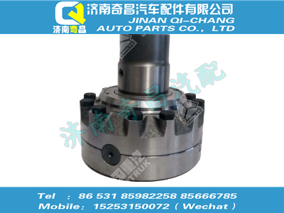 wg9981320436-1,金王子配件 金王子AC16桥轴间差速器总成,济南奇昌汽车配件有限公司