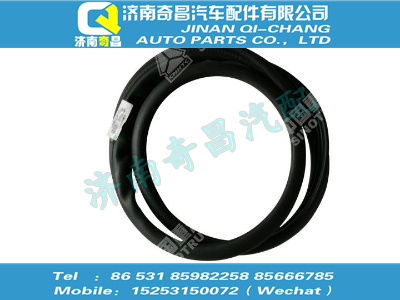 810w66912-0228,HOWO配件 HOWO工具箱侧盖密封条,济南奇昌汽车配件有限公司