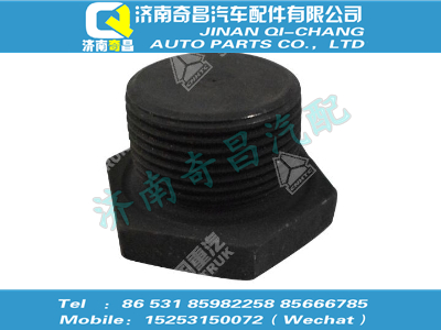 az9111320010,T7H配件 T7H螺塞,济南奇昌汽车配件有限公司