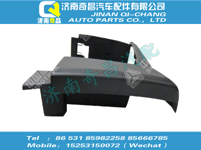 wg1664237244,金王子配件 金王子高位右下踏板(与左件对称),济南奇昌汽车配件有限公司