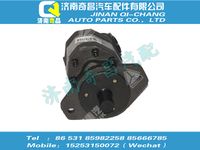 tz53717300230,A7配件 A7齿轮油泵,济南奇昌汽车配件有限公司