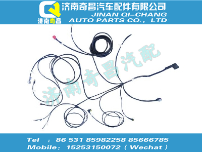 wg1034122150,金王子配件 金王子HOWO SCR 线束,济南奇昌汽车配件有限公司