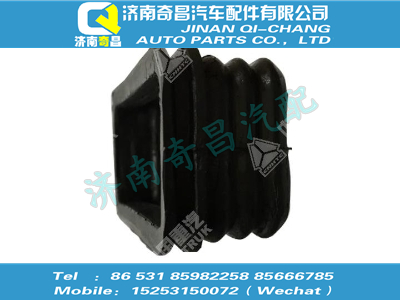 wg1608161019,王牌配件 王牌密封圈,济南奇昌汽车配件有限公司