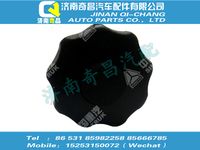 810w97001-0535,SITRAK配件星状手柄,济南奇昌汽车配件有限公司