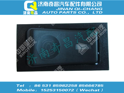 wg9719582056,T5G配件 T5G发动机制动开关,济南奇昌汽车配件有限公司