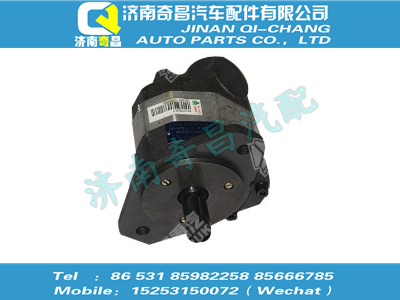 bz53717300185,SITRAK配件齿轮泵总成,济南奇昌汽车配件有限公司