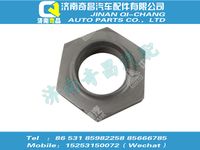 wg4005415352,豪沃配件 豪沃锁紧螺母,济南奇昌汽车配件有限公司