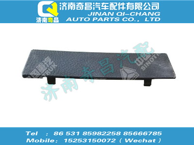 wg1664770115,王牌配件 王牌CD机安装孔盖板I,济南奇昌汽车配件有限公司
