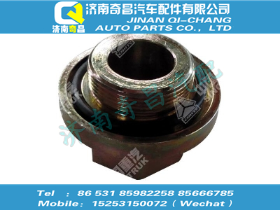 wg9970320211,黄河配件 黄河螺纹接头总成,济南奇昌汽车配件有限公司