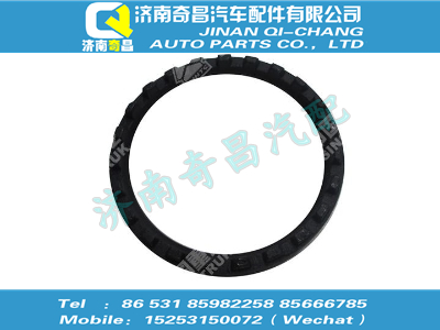 wg9970320016,SITRAK配件调整螺母,济南奇昌汽车配件有限公司